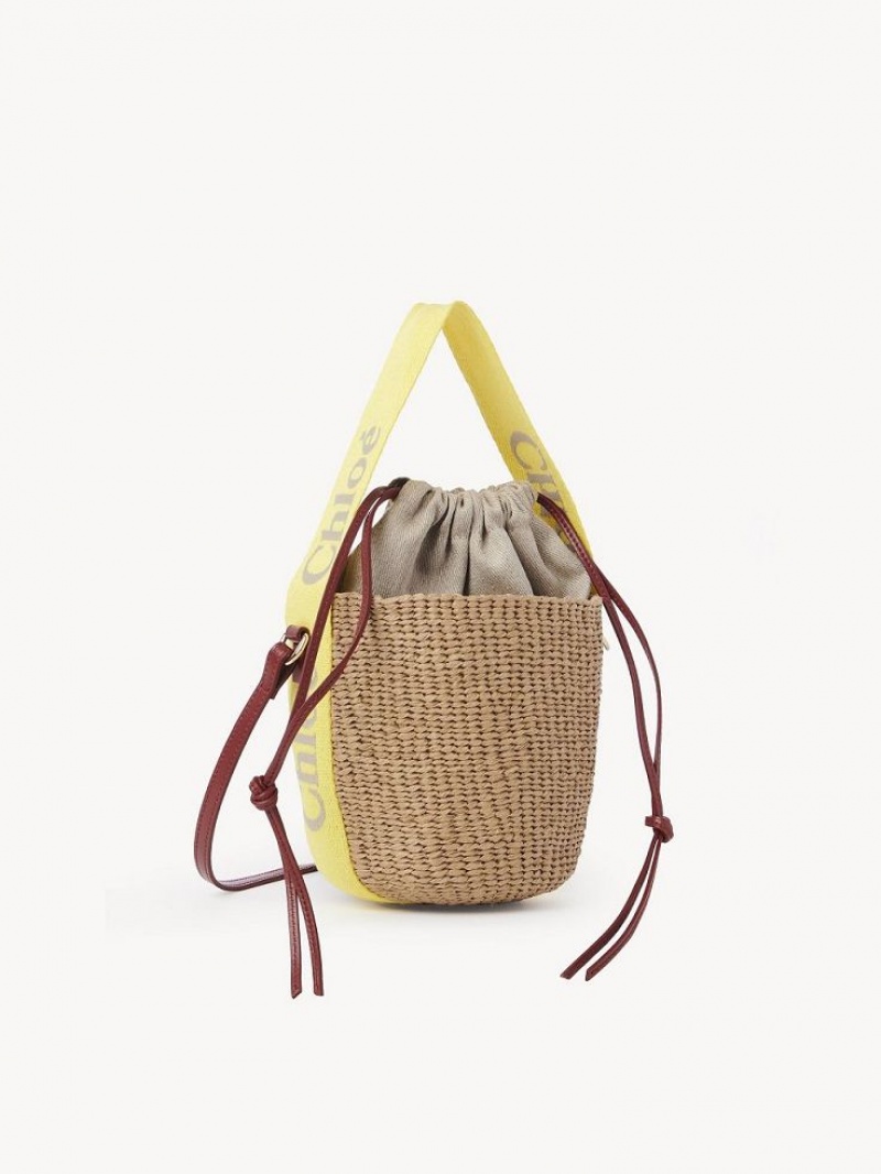 Chloe Small Woody Baskets Gul Beige | CHE-SR13644