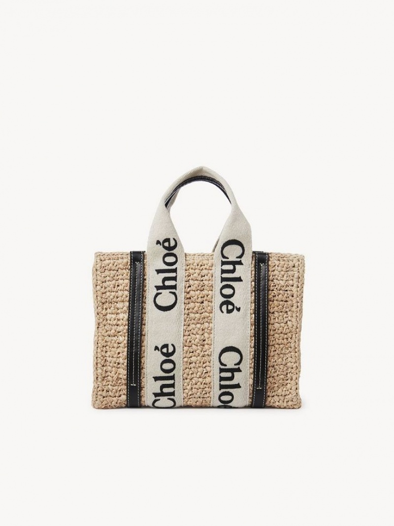 Chloe Small Woody Crossbody Veske Brune | CHE-SR13625