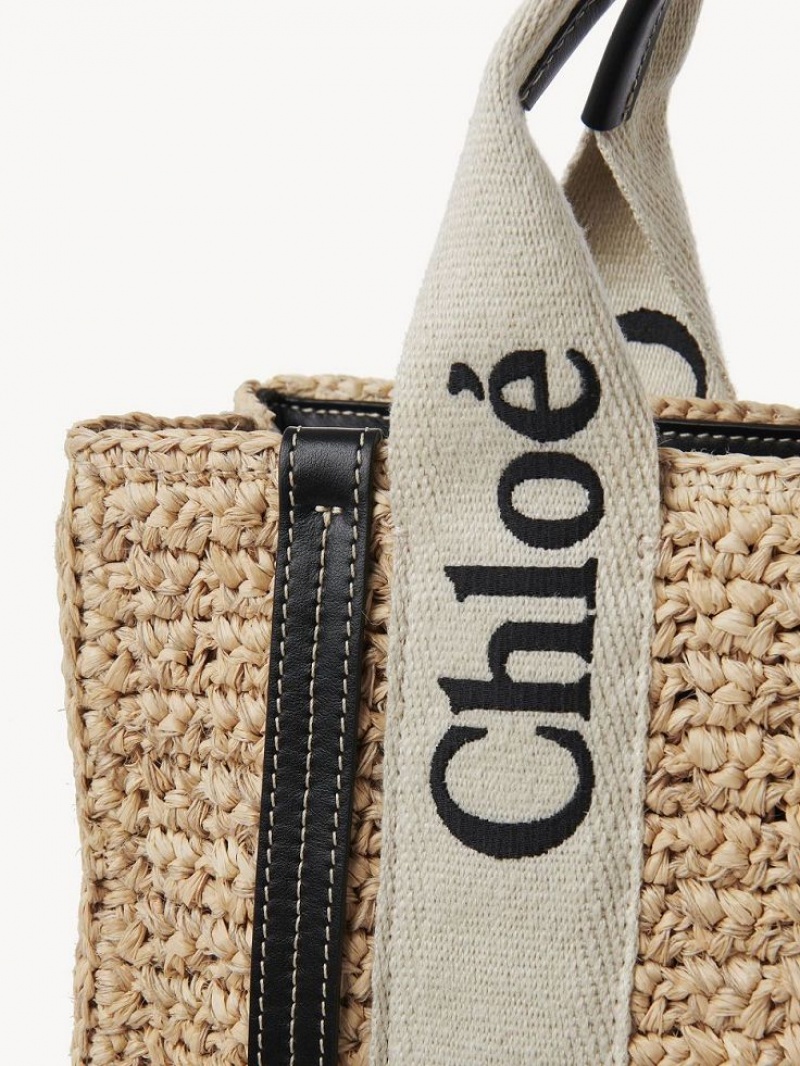 Chloe Small Woody Crossbody Veske Brune | CHE-SR13625