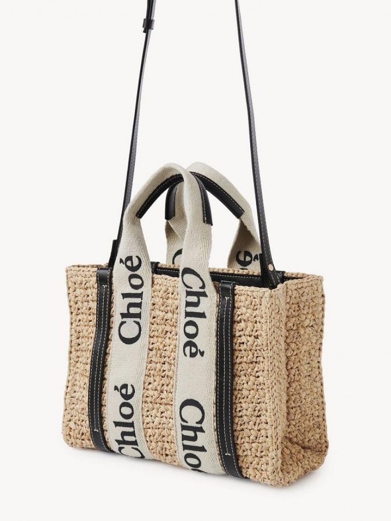 Chloe Small Woody Crossbody Veske Brune | CHE-SR13625