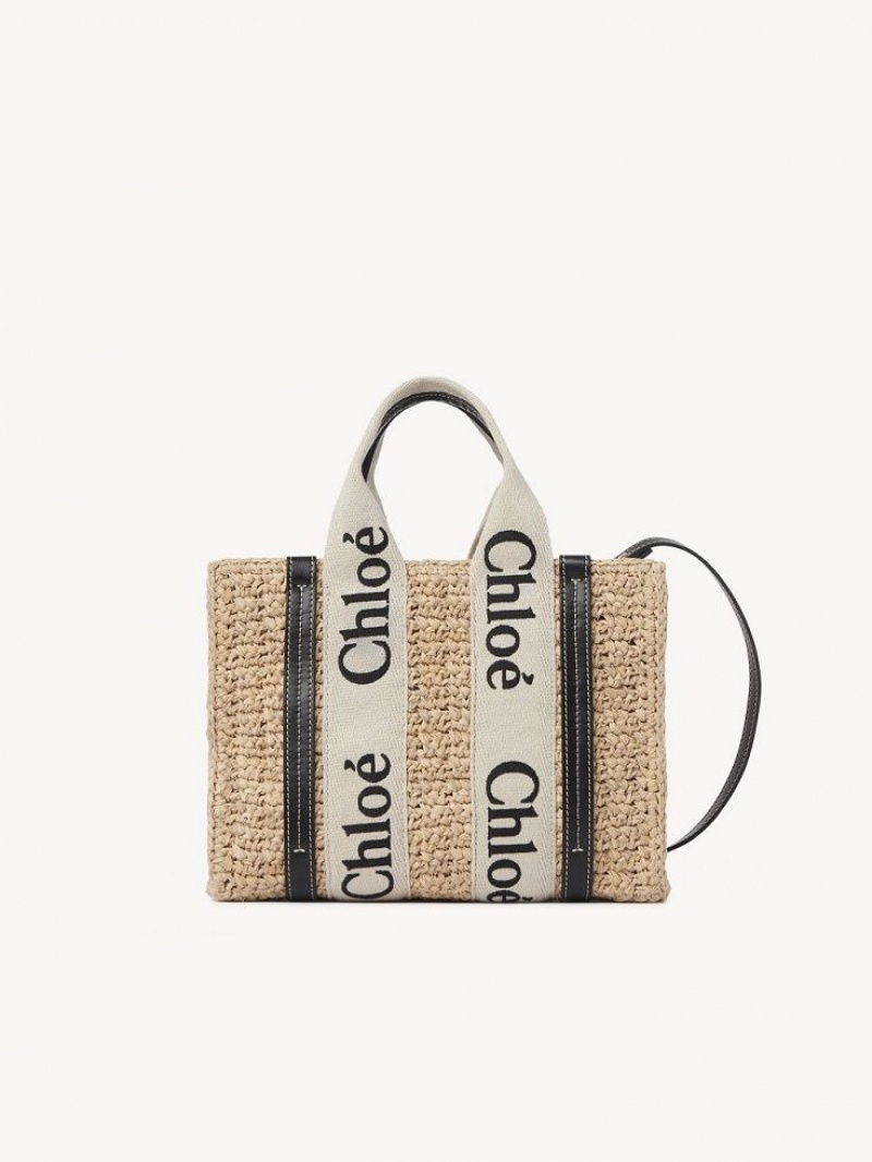 Chloe Small Woody Crossbody Veske Brune | CHE-SR13625