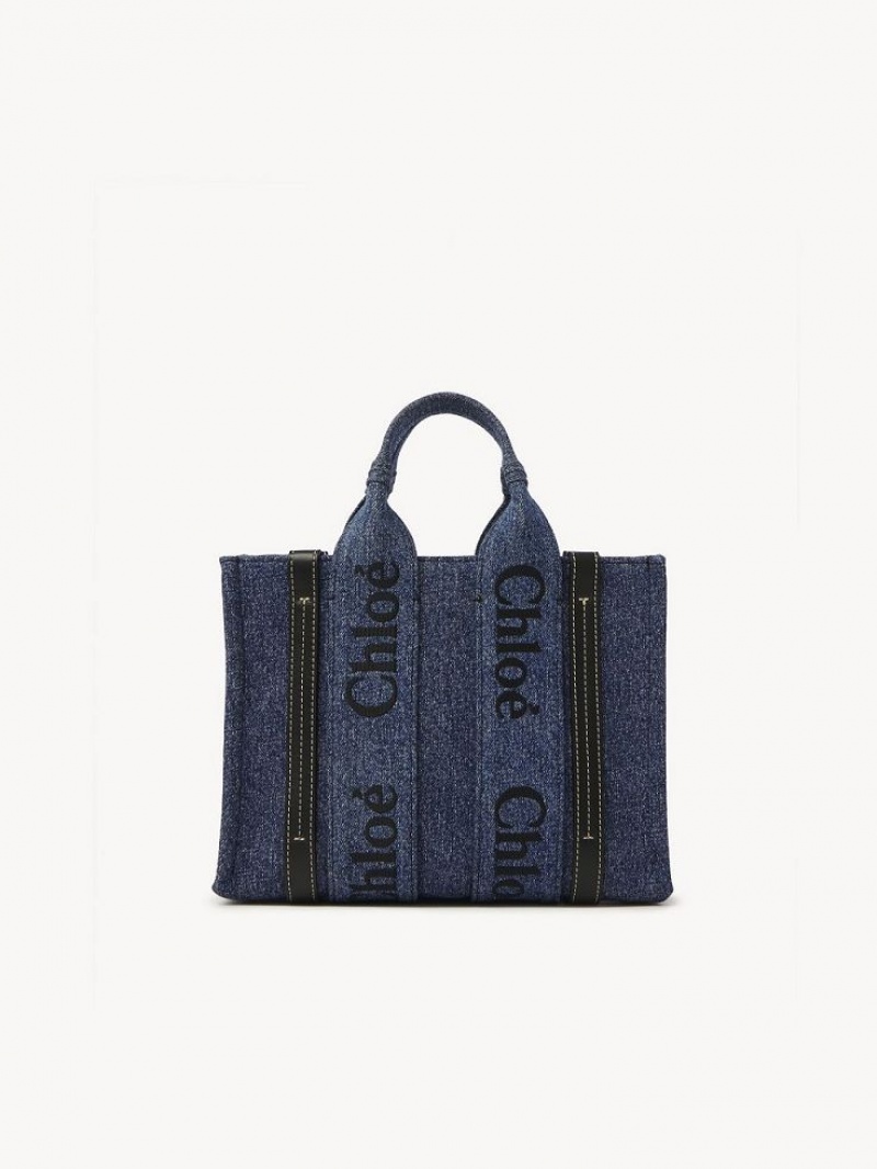 Chloe Small Woody Tote Veske Blå | CHE-SR13315