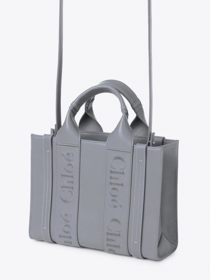 Chloe Small Woody Tote Veske Blå | CHE-SR13322