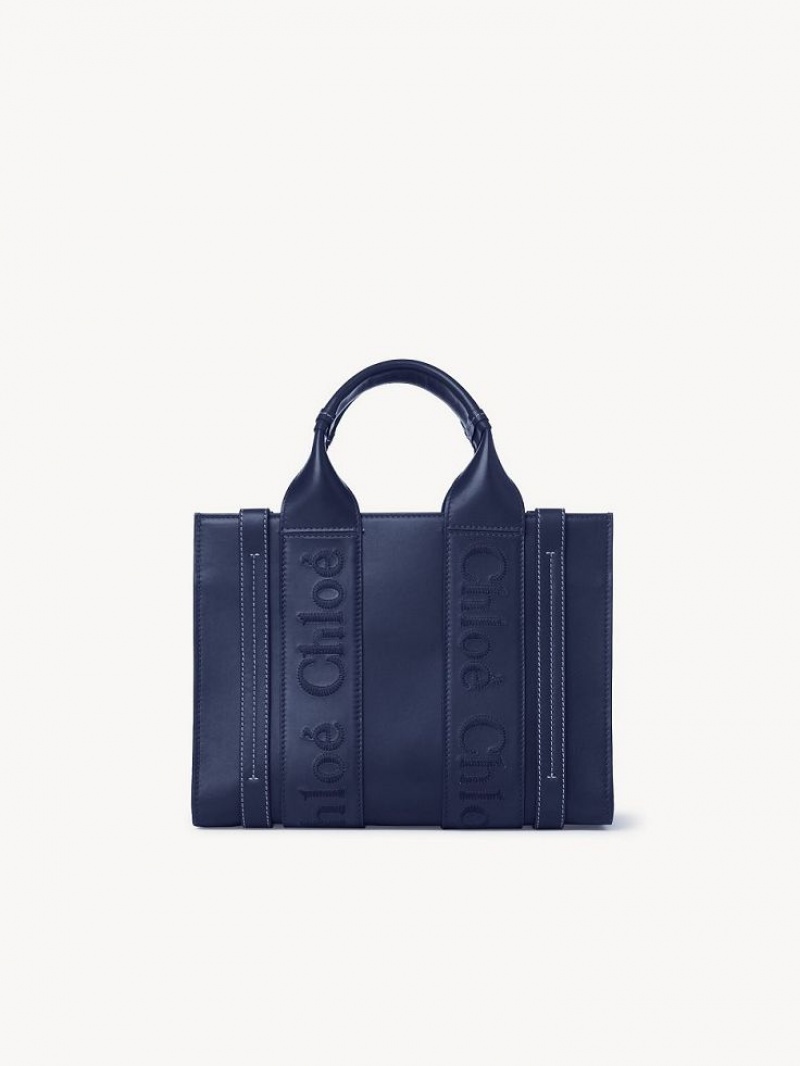 Chloe Small Woody Tote Veske Blå | CHE-SR13376