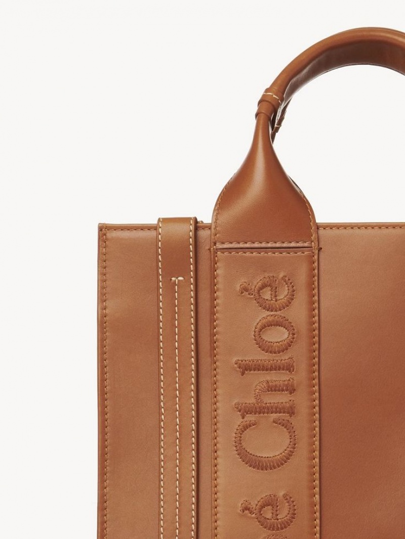 Chloe Small Woody Tote Veske Brune | CHE-SR13345