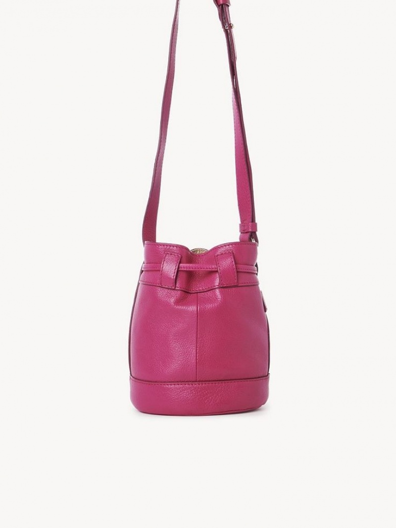 Chloe Vicki Small Bucket Mini Vesker Rosa | CHE-SR14746