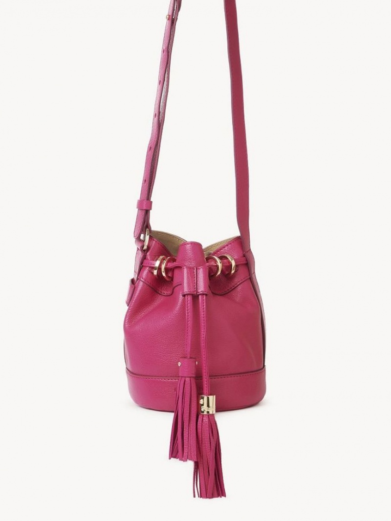 Chloe Vicki Small Bucket Mini Vesker Rosa | CHE-SR14746