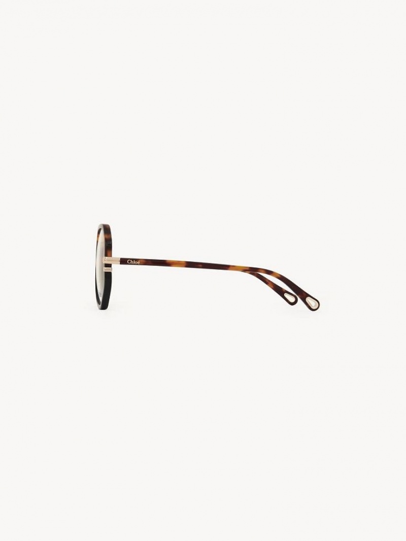 Chloe West Briller Havana | CHE-SR14584