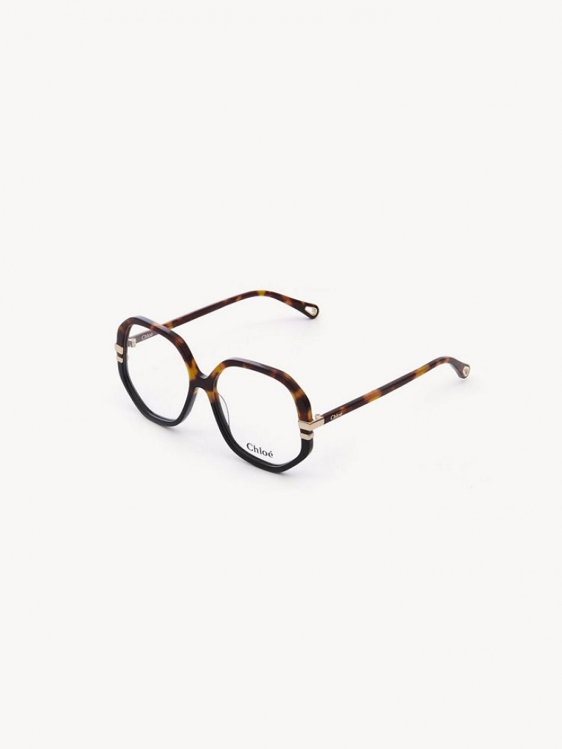 Chloe West Briller Havana | CHE-SR14584