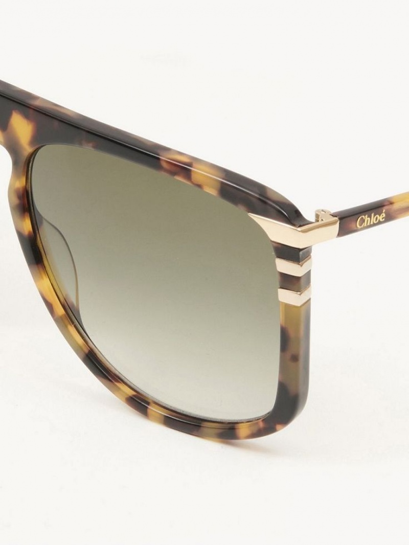 Chloe West Solbriller Havana | CHE-SR14565