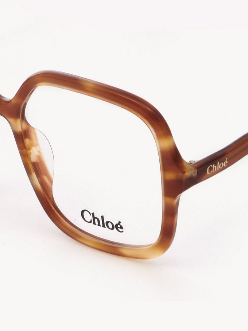 Chloe Zelie Briller Lyse | CHE-SR14585